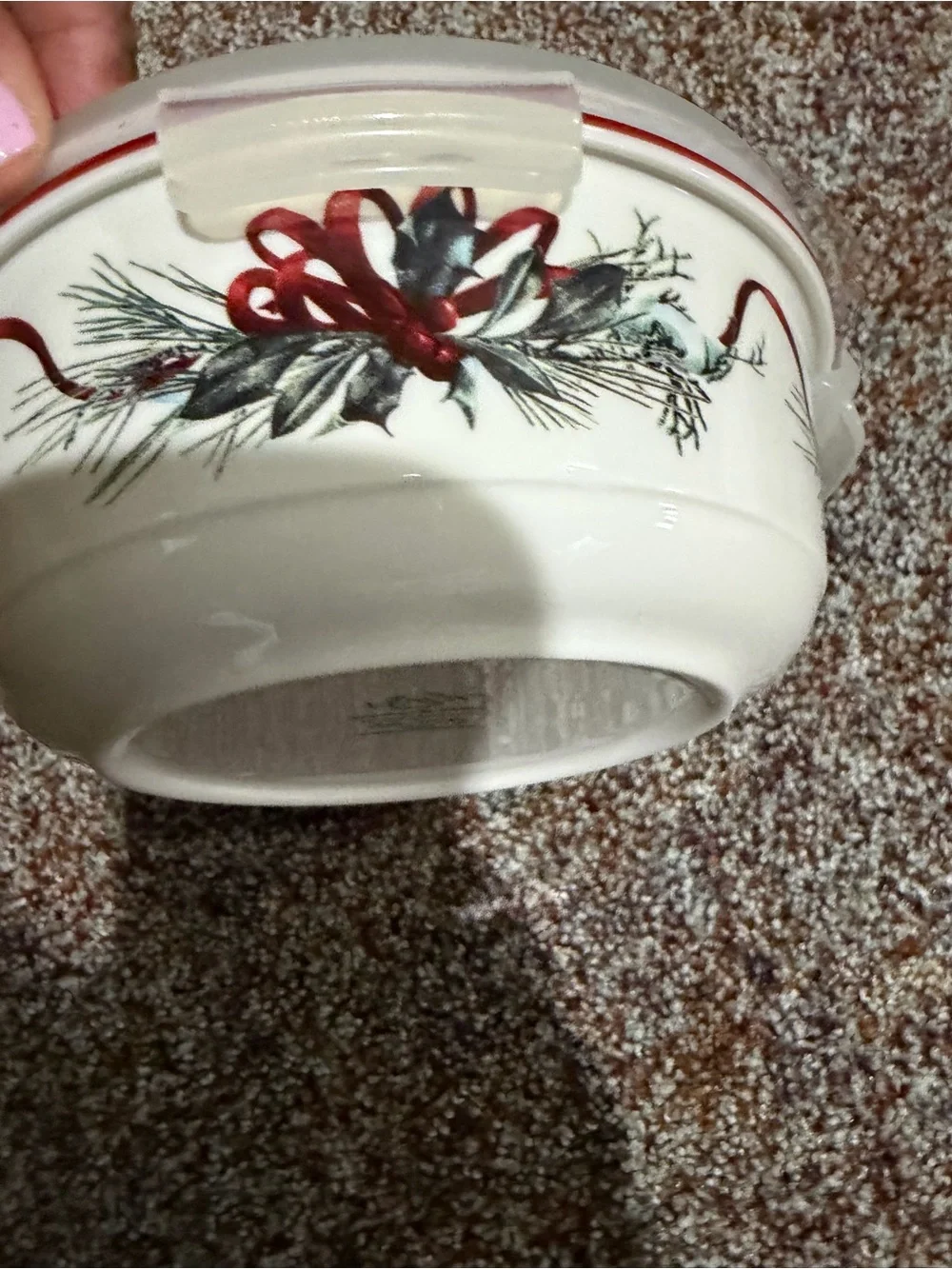 Lenox Winter Greetings Red Cardinal DesignServe & Store with Locking Lid NEW
